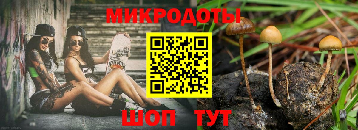 Псилоцибиновые грибы мицелий  Вход с VPN  Тихвин  Галлюциногенные грибы ЛСД 